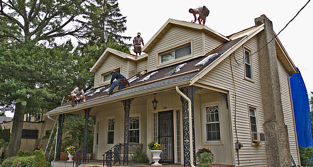 Best Roof Gutter Cleaning  in Moraine, OH
